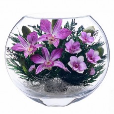"NaturalFlowers" Арт: ESO-01 цветы в стекле